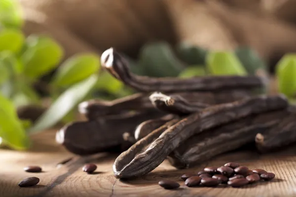 stock image Carob Pods