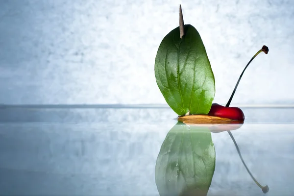 stock image Cherry with Nutshell Boat