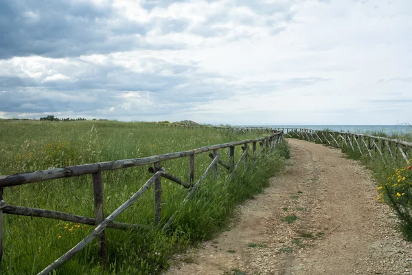 Stock image Country Road with Fence