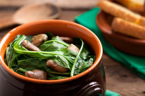 stock image Chicory with Broad Beans