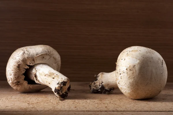 Два гриба Шампиньона — стоковое фото