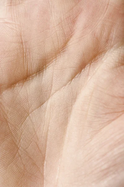 Hand Palm — Stock Photo, Image