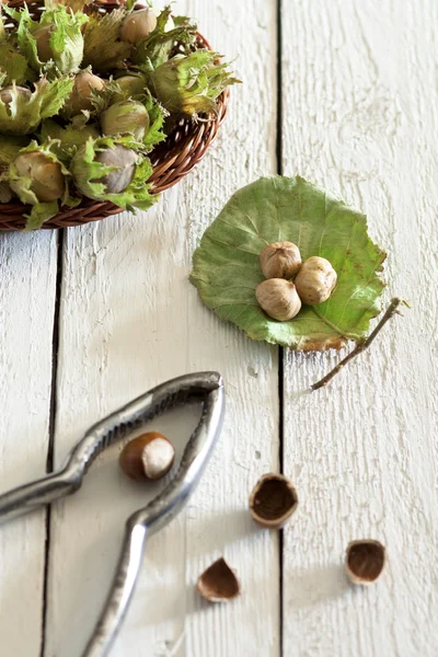 Fresh Unripe Hazelnuts — Stock Photo, Image