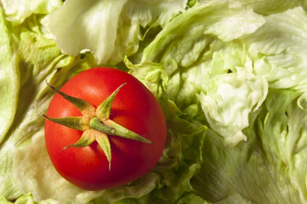 Помидор на салате — стоковое фото