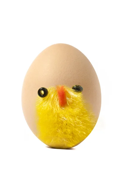 Курица на коричневом яйце — стоковое фото