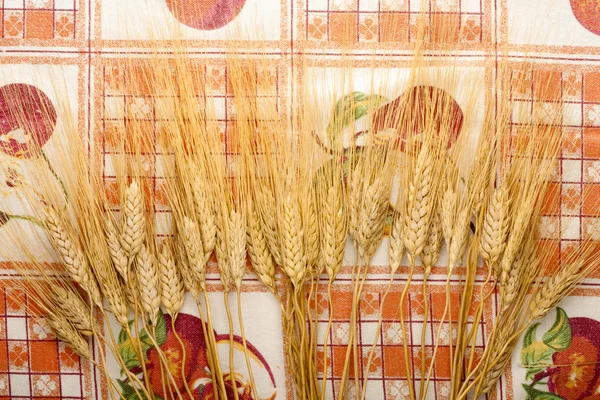 Пшеница на скатерти — стоковое фото