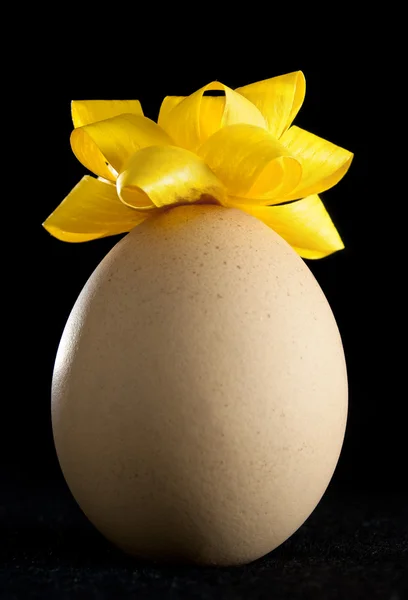 Huevo con cinta amarilla —  Fotos de Stock