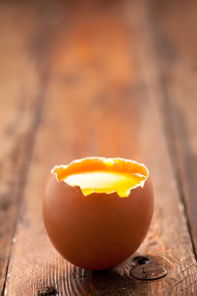 Ei met eierdooier — Stockfoto