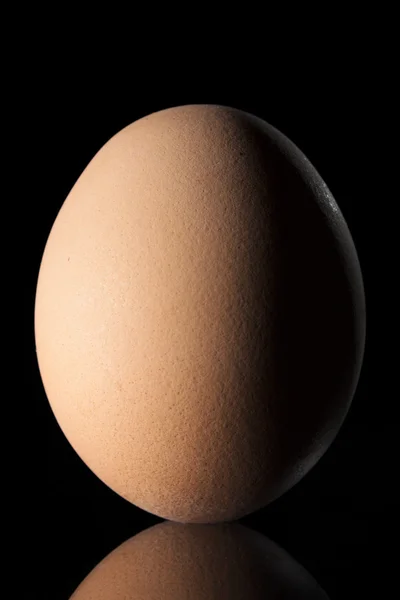 Huevo sobre fondo negro Fotos De Stock