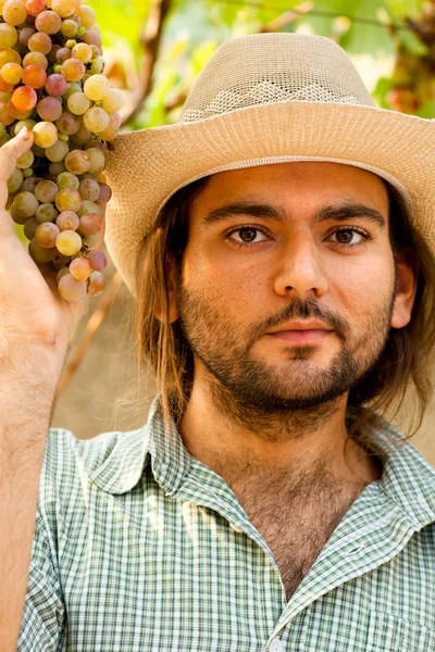 Farmer with Grapes — Stock Photo, Image
