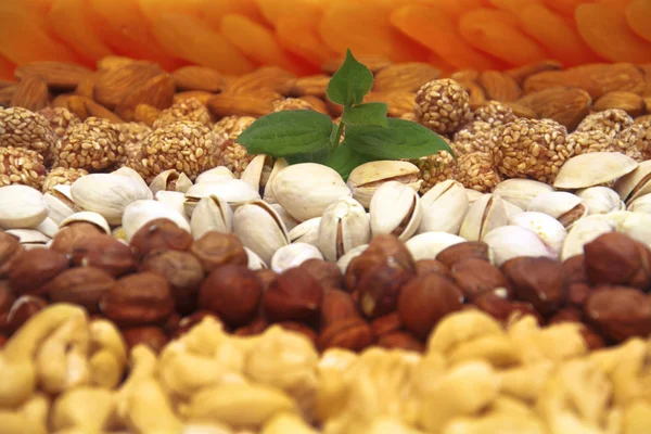Set of nuts and dried apricots- peanuts, cashews, almonds, walnu — Stock Photo, Image