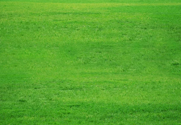 stock image Grass field kit