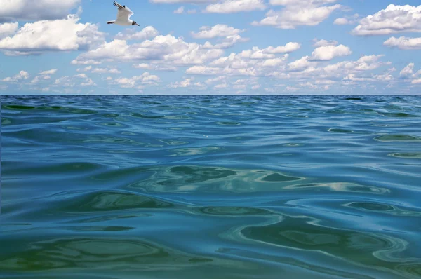 Water and sky — Stock Photo, Image