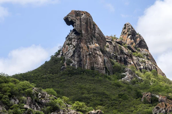 Quixada, 브라질의 바위 생각에 잠기는 암 탉 — 스톡 사진