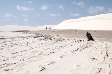 lencois maranheses Brezilya'nın kum tepeleri