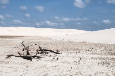 lencois maranheses Brezilya'nın kum tepeleri