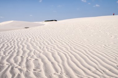 lencois maranheses Brezilya'nın kum tepeleri