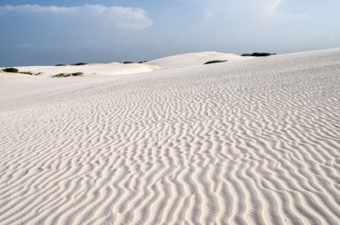 Sand dunes of the Lencois Maranheses in Brazil clipart