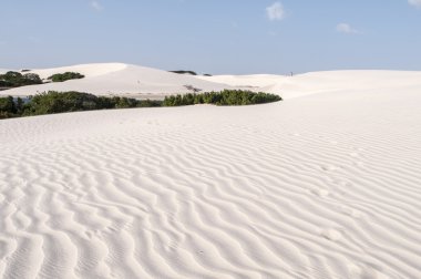 lencois maranheses Brezilya'nın kum tepeleri