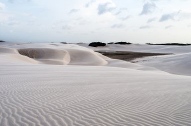 lencois maranheses Brezilya'nın kum tepeleri