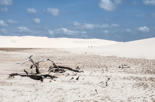 Dunas de areia dos maranheses lencois no Brasil — Fotografia de Stock