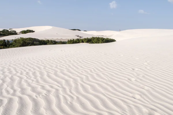 Písečné duny lencois maranheses v Brazílii — Stock fotografie