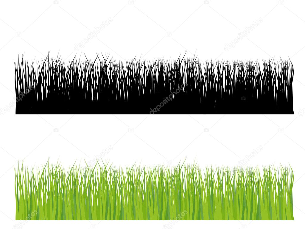 Various grass silhouette — Stock Vector © morrmota #11101611