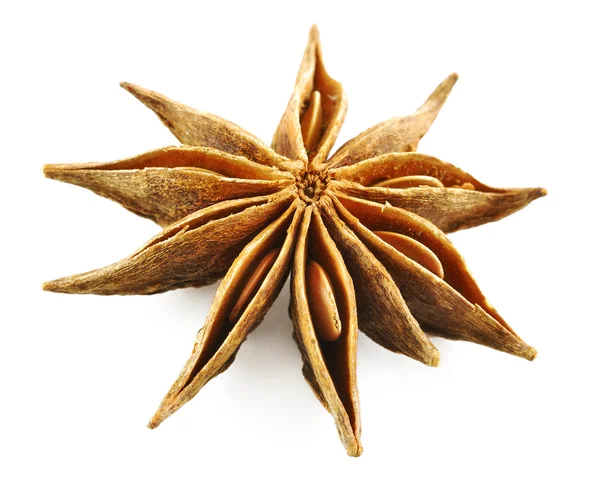 Anise star (badian) — Stock Photo, Image