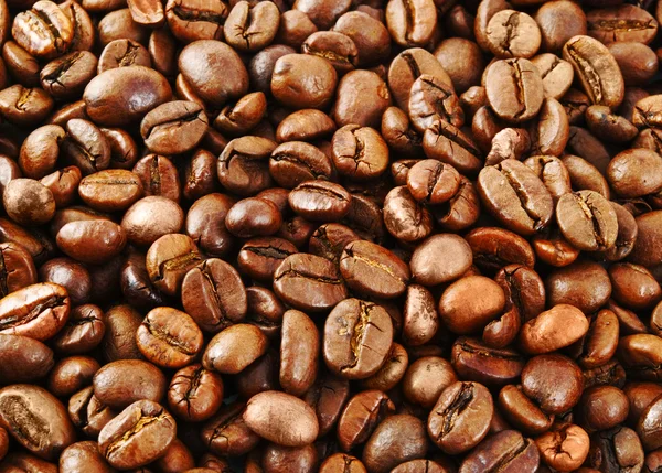 Stekt kaffebönor — Stockfoto