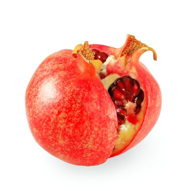 Pomegranate clipart