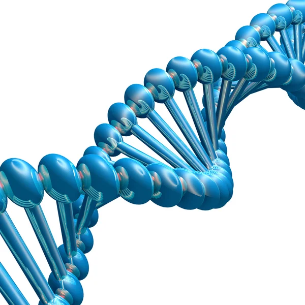 DNA strand — Stock Photo, Image