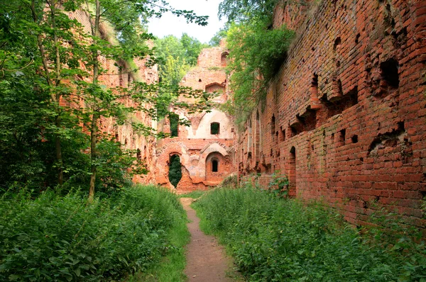 Balga - ruins of medieval castle of the Teutonic knights. Kalini — Stock Photo, Image