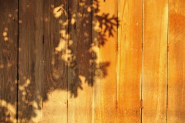 Shadow of tree on the wood clipart