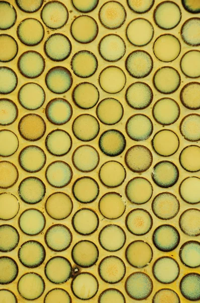 stock image Texture of circular tile