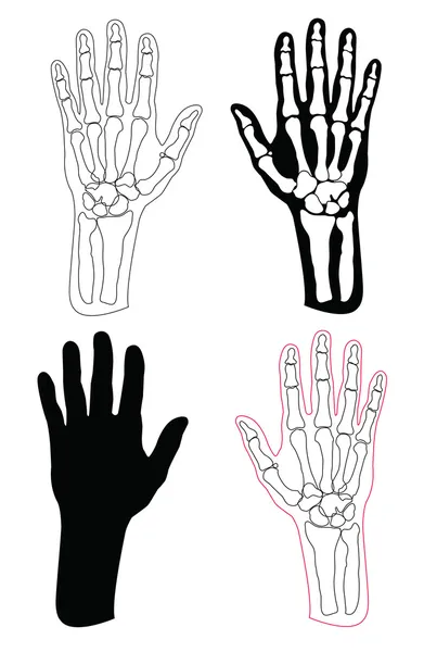 Collecte des mains et des os humains — Image vectorielle