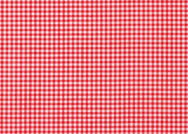 Red and white tablecloth picnic — Stock Photo, Image