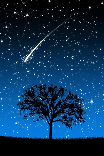 Baum unter Sternen mit Sternschnuppen in der Nacht — Stockfoto