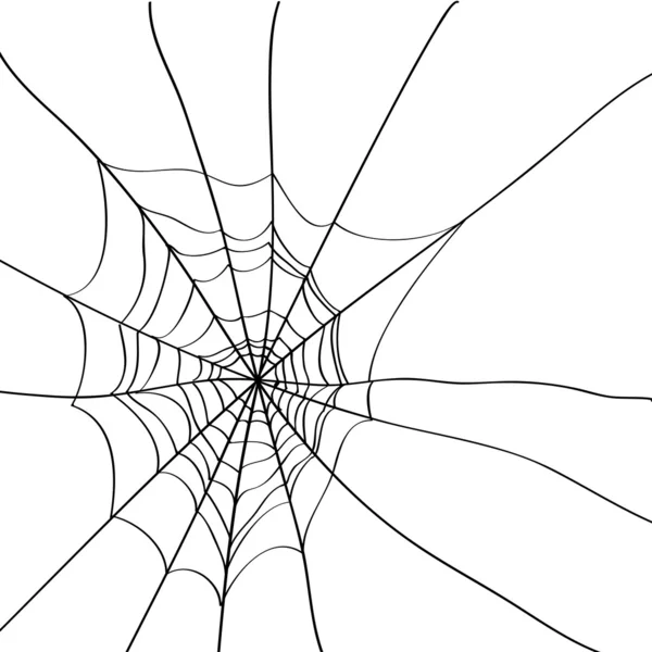 Spinnenweb geïsoleerd op wit — Stockvector