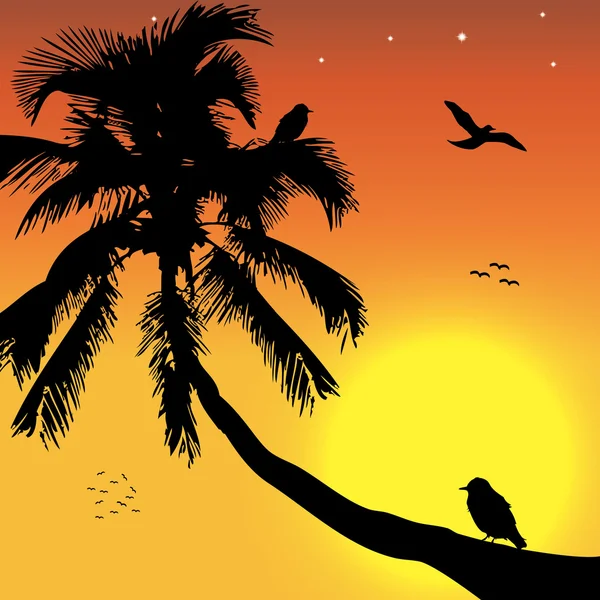 Atardecer tropical con palma y aves — Vector de stock