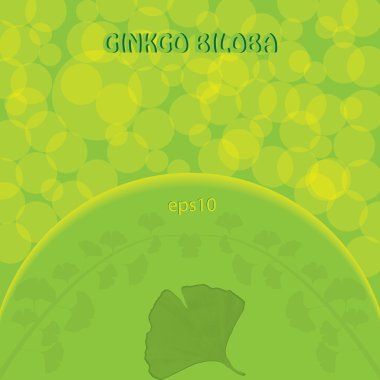 soyut ginkgo biloba arka plan