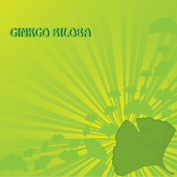 Abstract ginkgo biloba background — Stock Vector