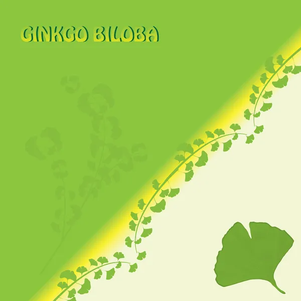 Αφηρημένη ginkgo biloba φόντο — Διανυσματικό Αρχείο
