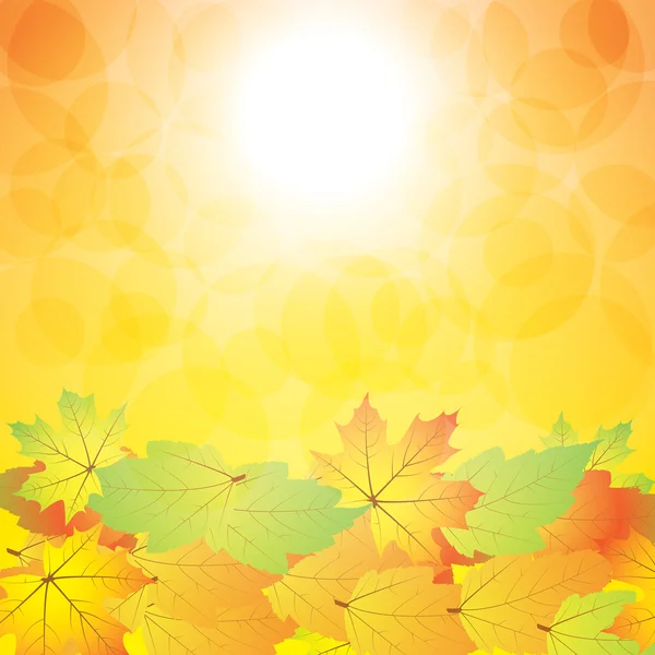 Autumn abstract background — Stock Vector