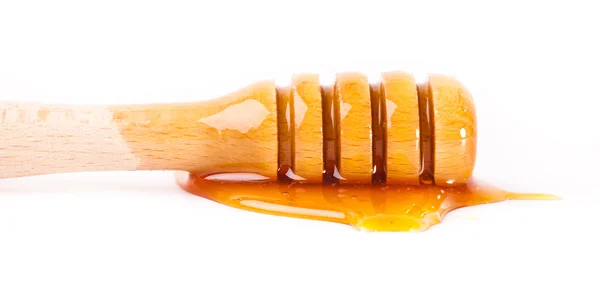 Palillo de miel —  Fotos de Stock