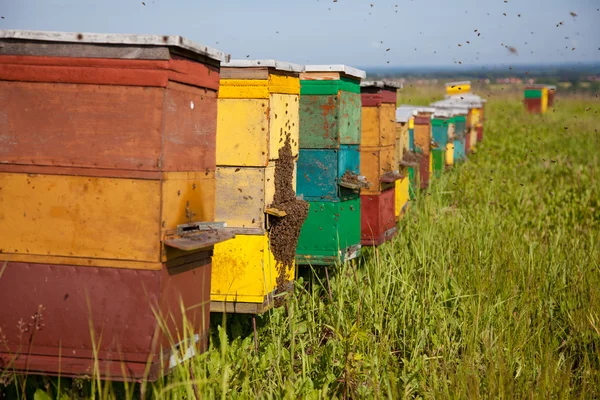 Méh kaptár — Stock Fotó