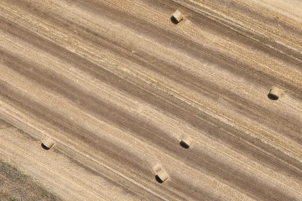 Aerial view of harvest field Royalty Free Stock Images