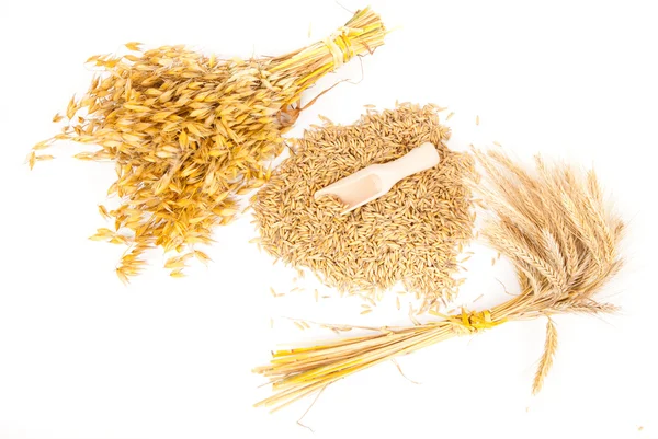 Raccolta del grano — Foto Stock