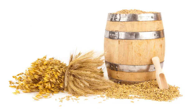 Harvest grain barrel — Stock Photo, Image