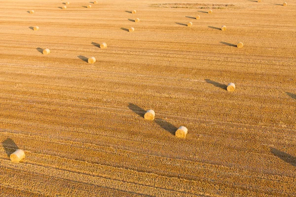 Rolos de colheita — Fotografia de Stock