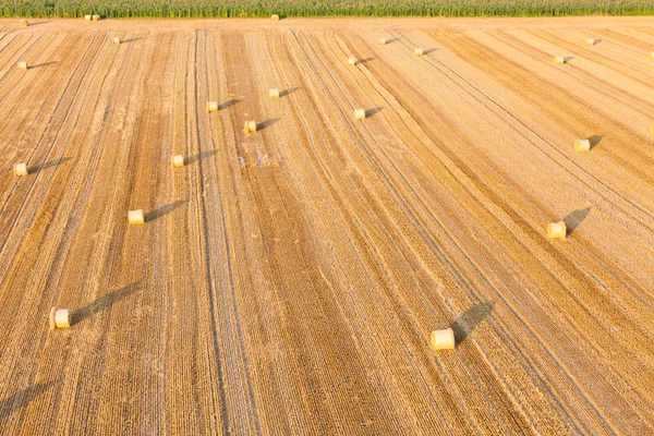 Rolos de colheita — Fotografia de Stock